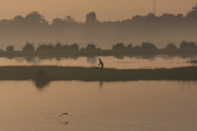 Nile sunrise, fisherman